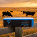 Bluetti B4810 lithium battery resting on a timber fence rail with cattle grazing in golden grassland behind