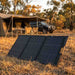 EcoFlow 160W Lightweight Bifacial solar panel set up at an Australian bush campsite at golden hour