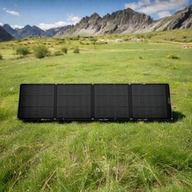 EcoFlow 220W single-face portable solar panel standing upright outdoors.