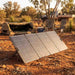 EcoFlow 400W Lightweight Bifacial solar panel set up at an Australian bush campsite with a swag and camp chairs at golden hour
