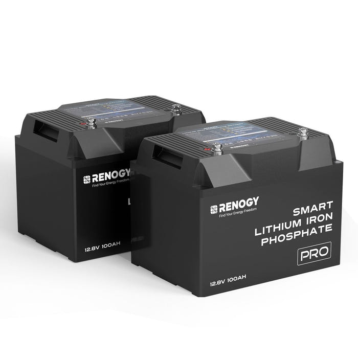 Two Renogy Pro 100Ah batteries side by side, 2 Battery pack