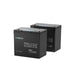 Two Renogy Core Mini 100Ah batteries side by side, 2 Battery pack